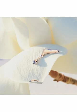 BOSS ALIVE 50ml 8 BOSS ALIVE 50ml – Bild 6