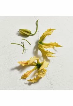 JIL SANDER SUN 75ml -Outlet PARFUMSETS Store unnamed file 223