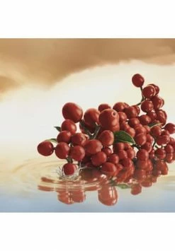 ESTÉE LAUDER THE LUXURY COLLECTION 100.0 ML 9 ESTÉE LAUDER THE LUXURY COLLECTION 100.0 ML -Outlet PARFUMSETS Store unnamed file 42