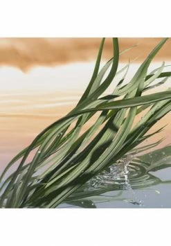 ESTÉE LAUDER LUXURY FRAGRANCES 40ml -Outlet PARFUMSETS Store unnamed file 50